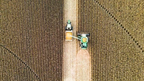 Ernten im freien Fall