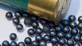 Weg frei für die bleifreie Jagd