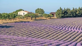 Kaufen und wohnen wie Gott in Frankreich