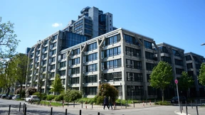 Die Grünen ziehen die Reißleine