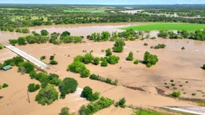 Polizei rettet Anwohner und drei Hunde aus höchster Not 