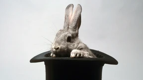 Die gute und die böse Täuschung