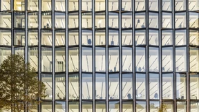 Die Täuschung der DWS