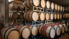 Die Quantität ist nicht entscheidend