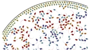 Wie sich Mini-Roboter effektiv einsetzen lassen
