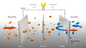 Die Kraft kommt aus dem Keller