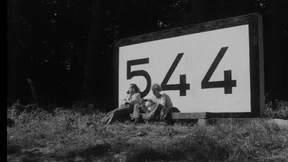 Es piepsen die Vögel, es rattert die Bahn 