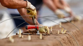 Weniger Ernte und höhere Kosten