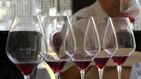 Das Dilemma mit dem guten Wein aus dem Urlaub