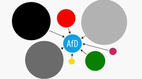 Jung, männlich – und enttäuscht