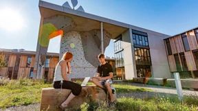 Wunsch nach Einklang