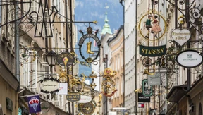 Hochköche, Tiefwurzler und das Glück des Irrsinns