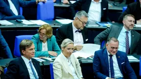 Wie stark kann die AfD noch wachsen?