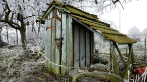 Gratis, aber nur für Selbstabholer