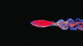 Der Thunfisch bietet die Lösung