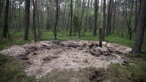 Stürzte eine russische Rakete in den polnischen Wald?