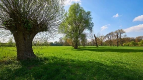 Polizei wegen Notrufs unter Druck