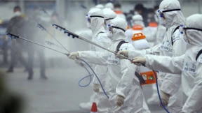 Das Engelsgesicht der harten Chemie