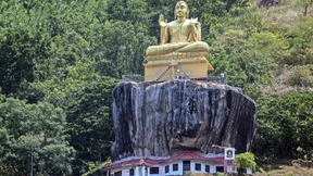 Im Paradies ist Zucker verboten