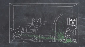 Verstehen Sie Quantenmechanik?