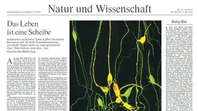 Das Leben ist eine Scheibe