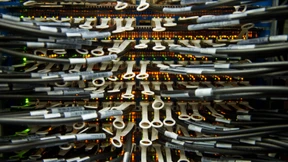 Ein Wurm für alle Fälle