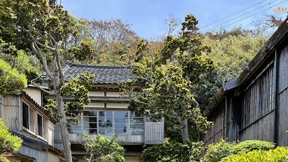 Die Lehre von Pathos und Putzigkeit