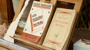 Wir misstrauen uns zu Tode