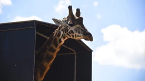 Für den einen Moment März 2015