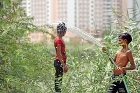 Selbst für Eis ist es zu heiß