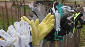 Stabile Dinger für heile Finger