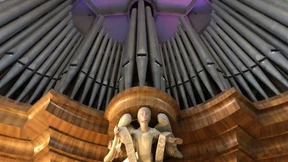 Eine Riesenorgel für den Stephansdom
