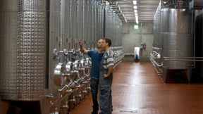 Winzer liefern Ernte an die Staatsweingüter