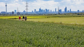 Am Stadtrand wäre Platz für die Europäische Schule