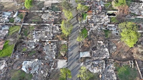 Das Feuer in Los Angeles hat der Natur kaum geschadet