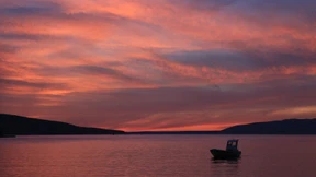 Die Entdeckung der Nachsaison