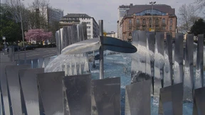 Ein Haifisch auf dem Trockenen