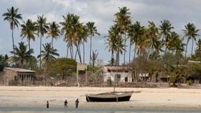 Klimaschäden, Bäumchenspiel, Alternativ-Klimabibel