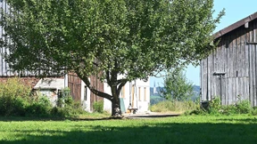 Warum sich der Verfassungsschutz für eine illegale Schule interessiert