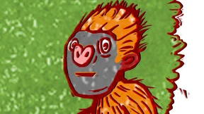 Notfalls Aspirin für die Gorillas