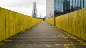 Wenn der Schwarm die Stadt rettet