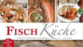 Die Leiden an der Landküche