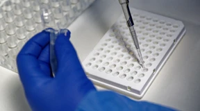 Inzidenz sinkt wieder unter 800