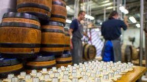 Im Land der tausend Biere