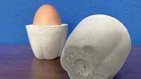 Einführung in die graue Materie