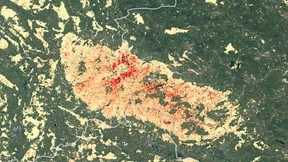 Das Pfeifen im Walde