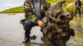 Forscher finden Mammut-Knochen in Russland