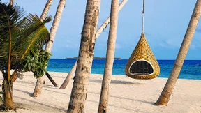 Kulturkampf unter Palmen