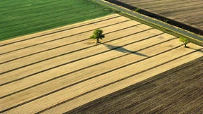 Nach der Mietpreisbremse kommt die „Pachtpreisbremse“