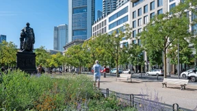 Die Wähler geben das Zeichen zur klimapolitischen Pragmatismuswende